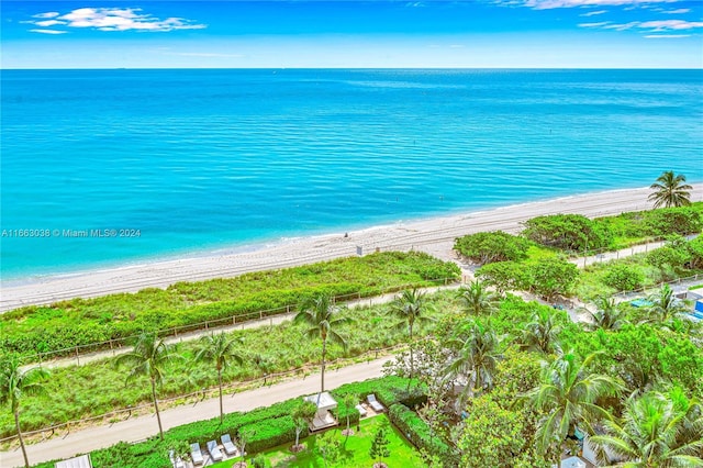 property view of water with a beach view