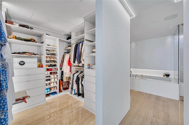 spacious closet featuring light hardwood / wood-style floors