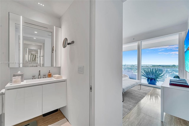 bathroom featuring hardwood / wood-style floors and vanity