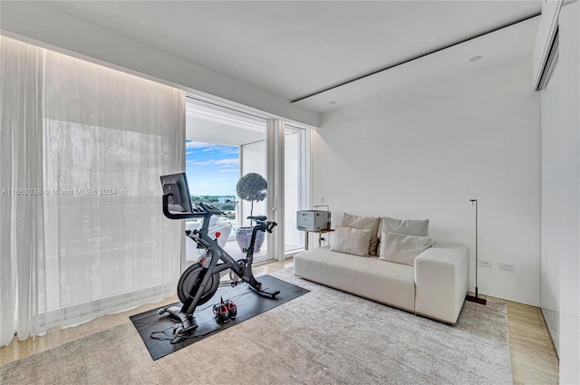 exercise room with wood-type flooring