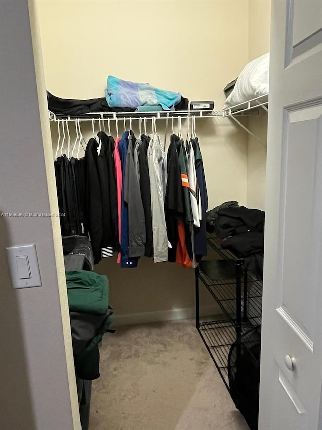 walk in closet with carpet floors