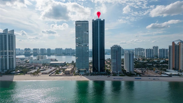 water view featuring a beach view