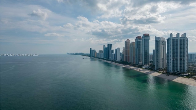 water view with a skyline view