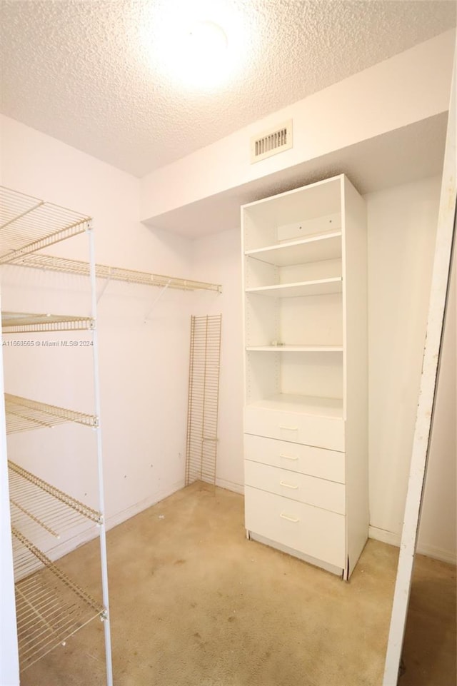 10360 NW 30th Ct Unit 204, Sunrise, FL 33322 - walk in closet featuring light colored carpet
