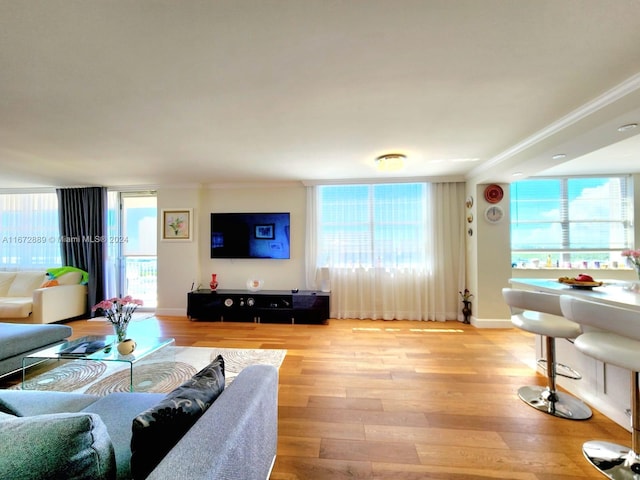 living room featuring ornamental molding and light wood-type flooring