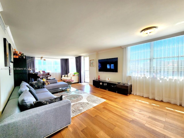 living room featuring ornamental molding and hardwood / wood-style floors