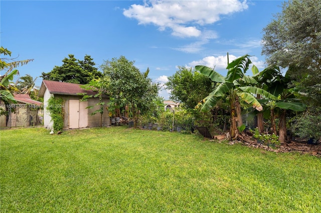 view of yard featuring a storage shed