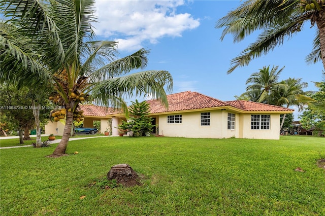 exterior space with a lawn