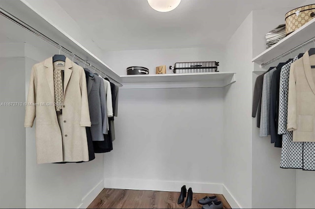 walk in closet featuring hardwood / wood-style floors