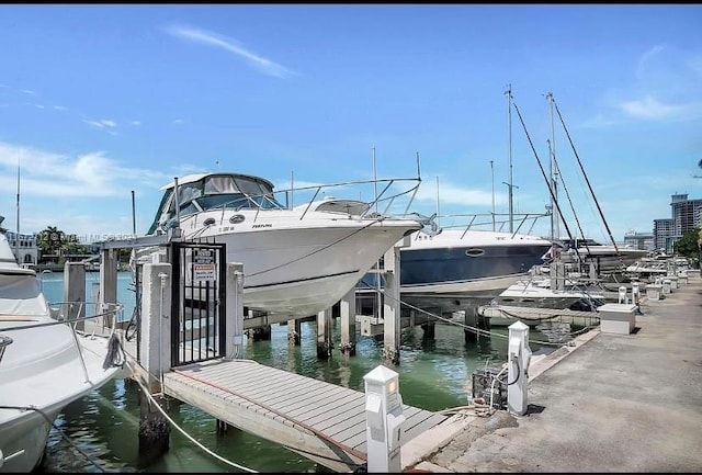 dock area with a water view