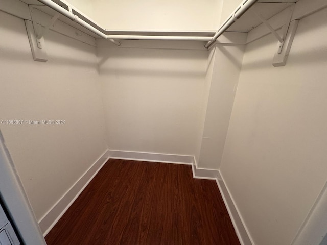 spacious closet featuring dark hardwood / wood-style flooring