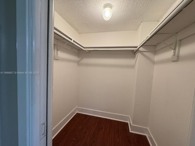 spacious closet featuring dark wood-type flooring