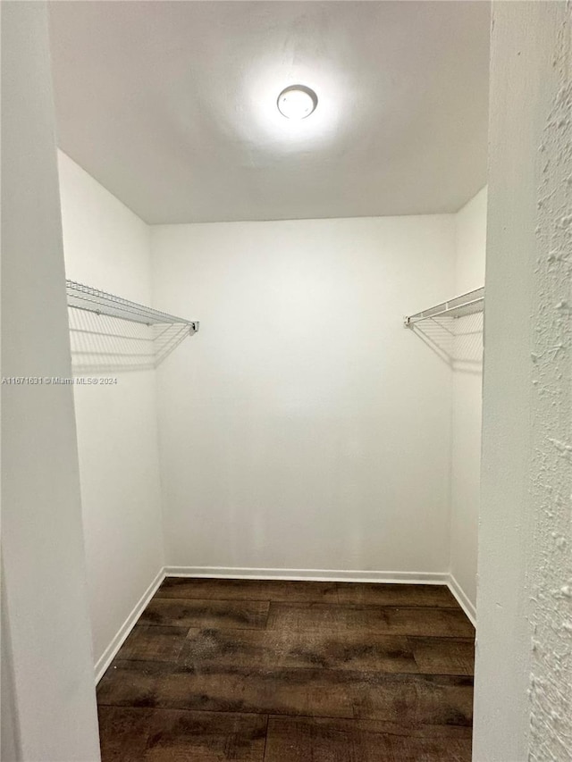 walk in closet with dark hardwood / wood-style flooring