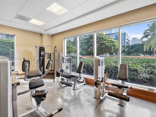 gym featuring concrete floors and a paneled ceiling