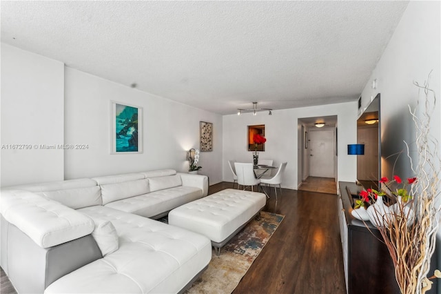 living room featuring hardwood / wood-style flooring and a textured ceiling