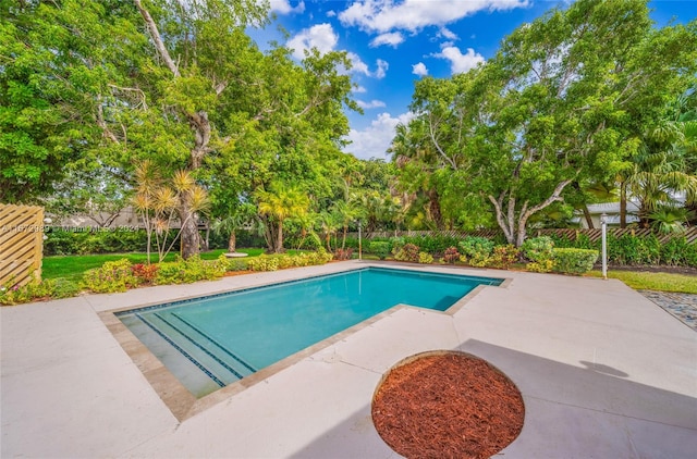 view of swimming pool with a patio