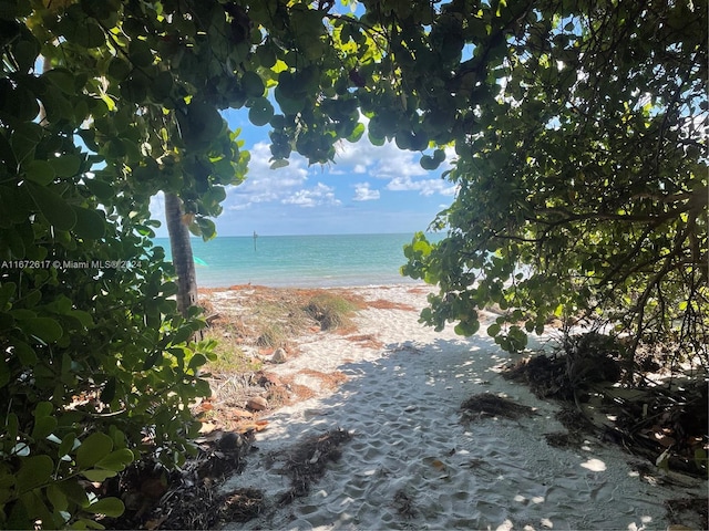 water view with a view of the beach