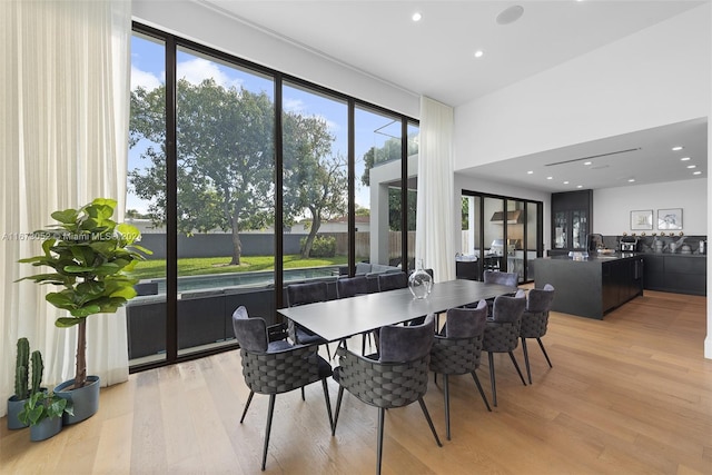 dining space featuring light hardwood / wood-style flooring