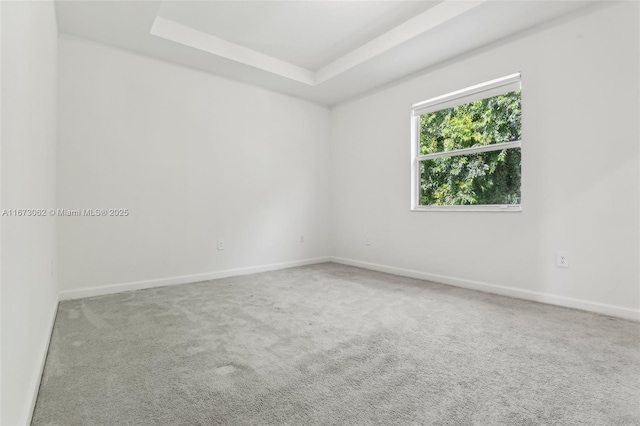 unfurnished room featuring carpet floors and a tray ceiling