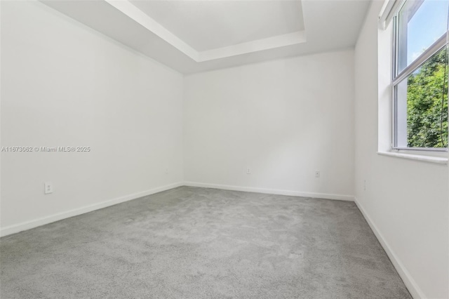 empty room with a tray ceiling and carpet flooring