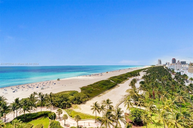 water view featuring a beach view