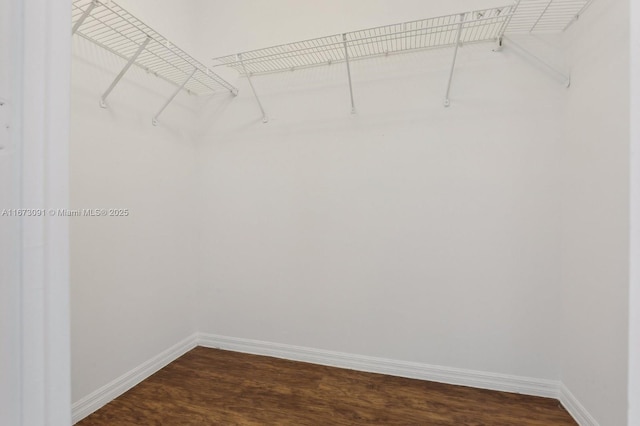 walk in closet featuring dark hardwood / wood-style floors