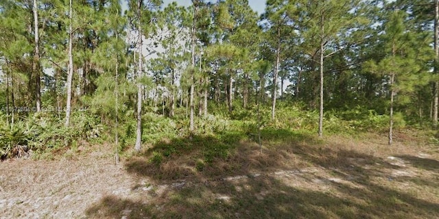 Listing photo 3 for 449 Wickham Ave S, Lehigh Acres FL 33974