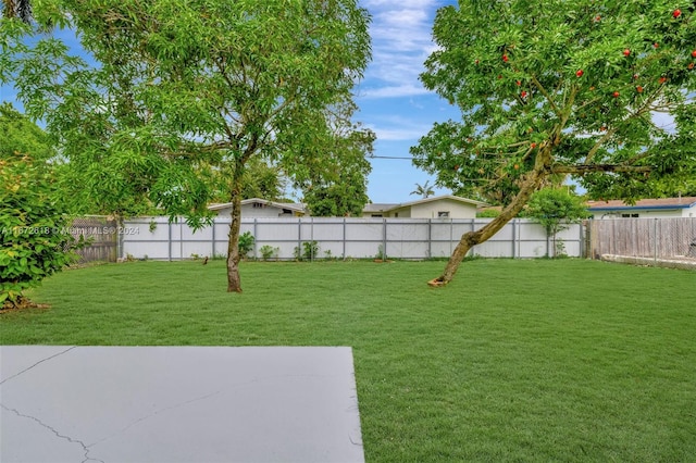 view of yard featuring a patio