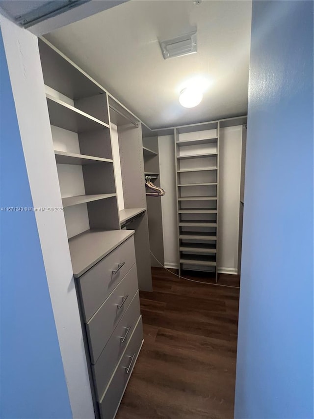 spacious closet featuring dark wood-type flooring