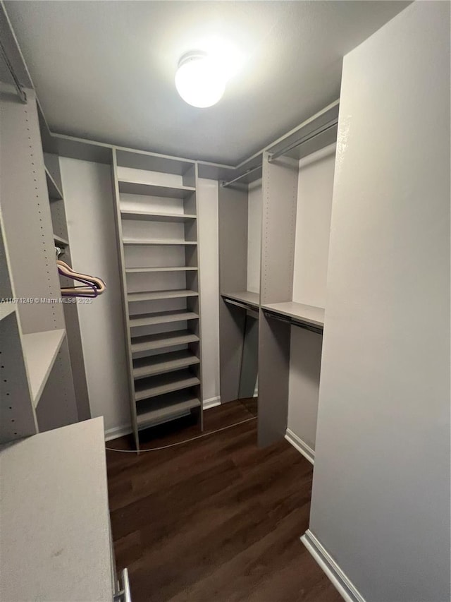 walk in closet with dark hardwood / wood-style floors