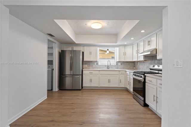 kitchen featuring sink, a raised ceiling, white cabinetry, and stainless steel appliances