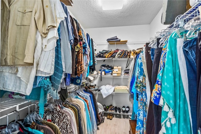 spacious closet featuring hardwood / wood-style flooring