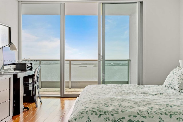 bedroom with light hardwood / wood-style flooring and multiple windows