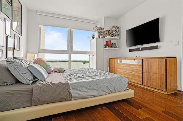 bedroom featuring dark wood-type flooring