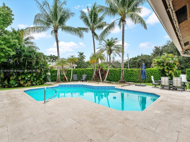 view of pool featuring a patio area