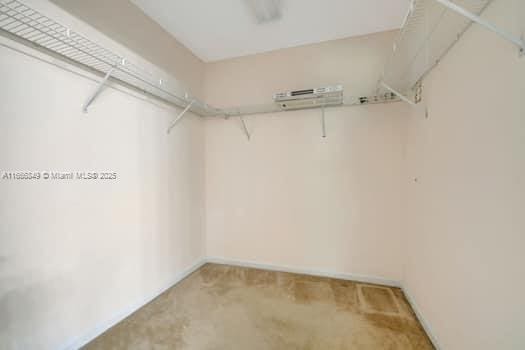 walk in closet with carpet flooring
