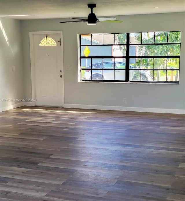 entryway with a healthy amount of sunlight, ceiling fan, and dark wood-type flooring