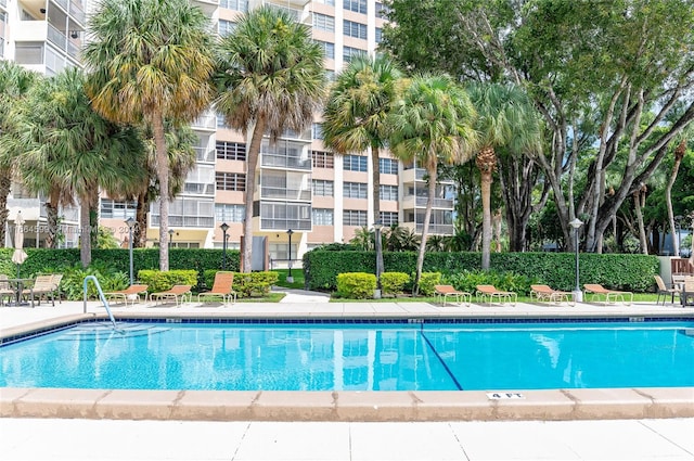 view of swimming pool