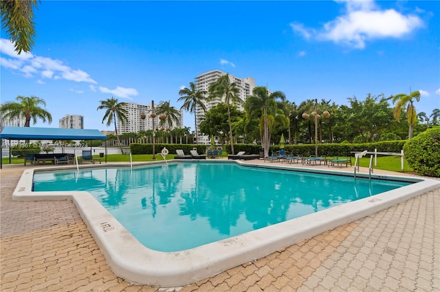 view of swimming pool featuring a patio area