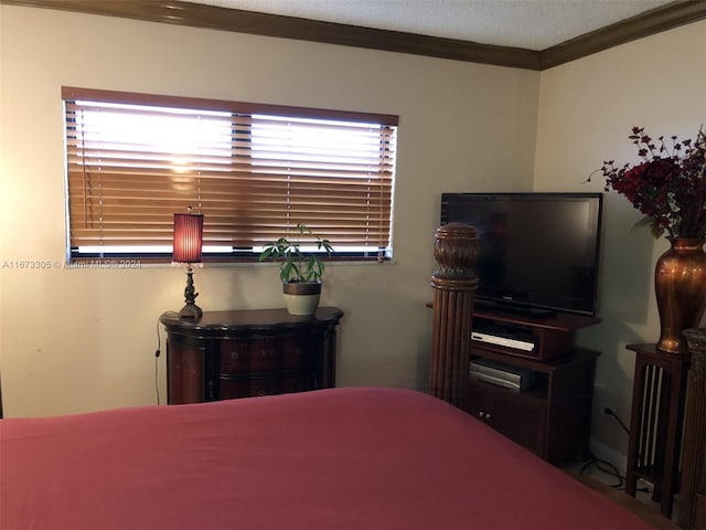 bedroom with crown molding