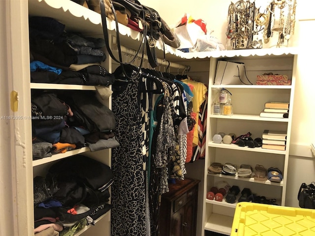 view of spacious closet