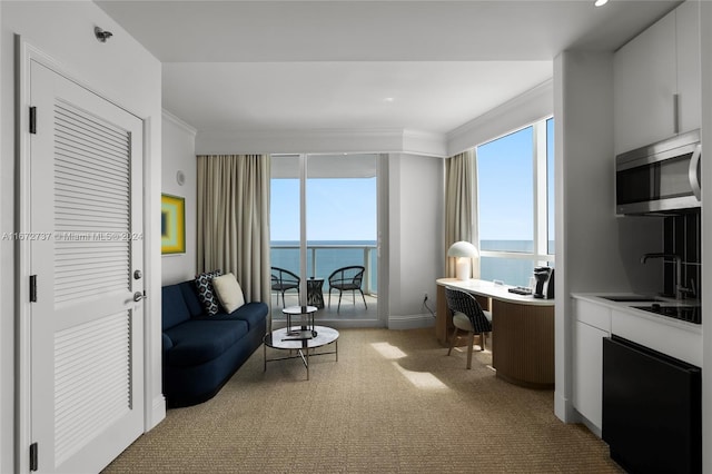 interior space with light carpet, ornamental molding, sink, and a water view