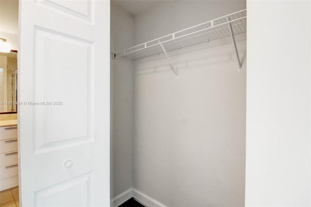 view of closet