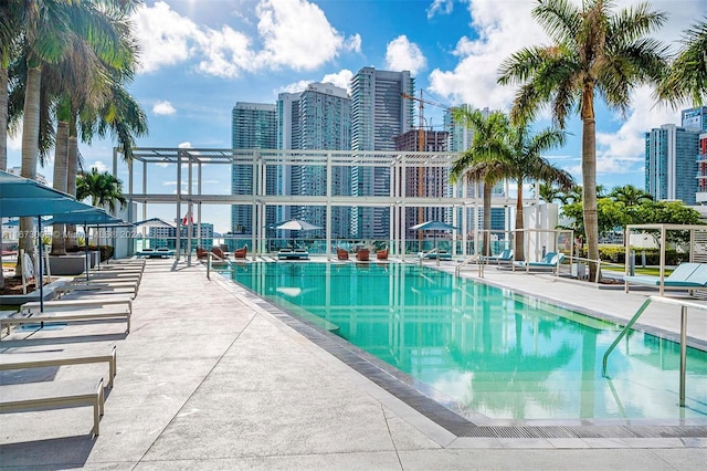 view of pool featuring a patio area