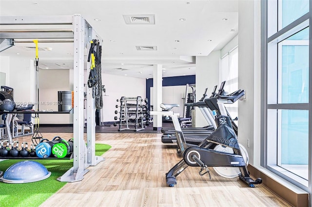 exercise room with hardwood / wood-style flooring and a healthy amount of sunlight