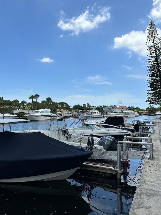 dock area featuring a water view