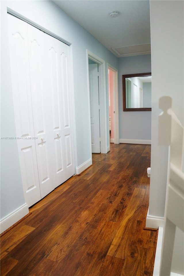 hallway with dark wood-type flooring