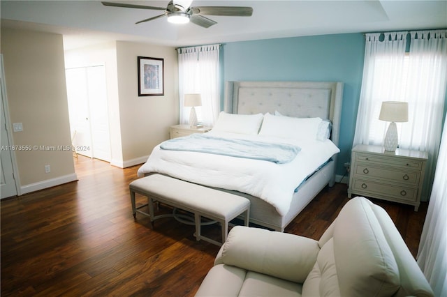 bedroom featuring a closet, dark hardwood / wood-style floors, and ceiling fan