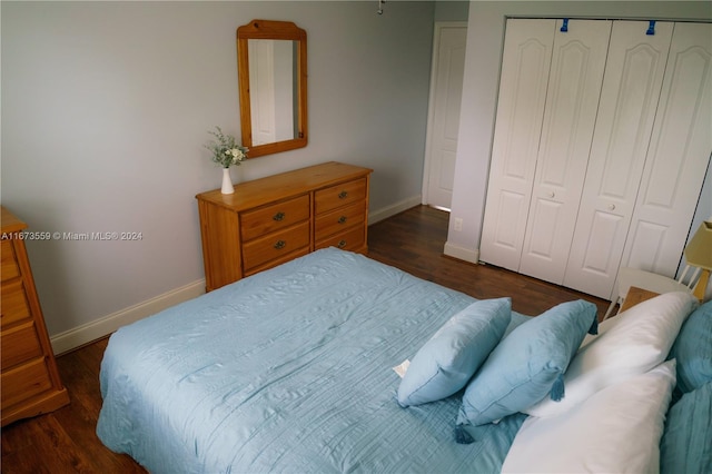 bedroom with dark wood-type flooring and a closet