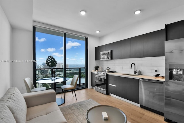 kitchen with backsplash, sink, light wood-type flooring, a wall of windows, and stainless steel appliances